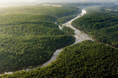 Aerial view of a winding river through a lush, green forest, evoking the Rights to Nature.